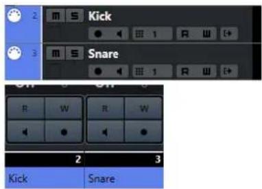 STEINBERG Cubase Elements 12 - RÉSULTAT - 1