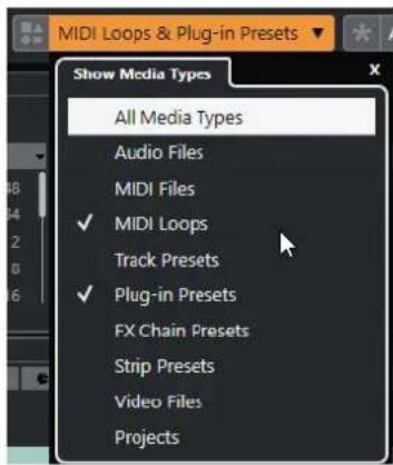 STEINBERG Cubase Elements 12 - PROCÉDER AINSI - 1