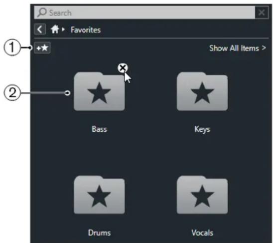 STEINBERG Cubase Elements 12 - Page Favoris - 1
