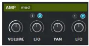 STEINBERG Cubase Elements 12 - Section Amp - 1