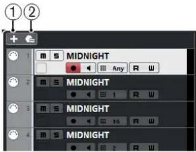 STEINBERG Cubase Elements 12 - Contrôles de piste globaux - 1