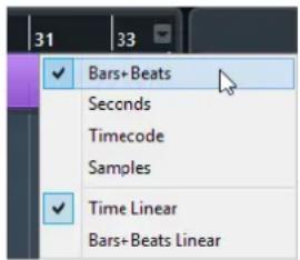 STEINBERG Cubase Elements 12 - Menu Format d'affichage de règle - 1