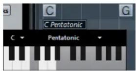 STEINBERG Cubase Elements 12 - PROCÉDER AINSI - 2