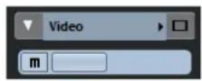 STEINBERG Cubase Elements 12 - Inspecteur des pistes Vidéo - 1