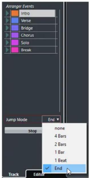 STEINBERG Cubase Elements 12 - Options du mode Jump - 1