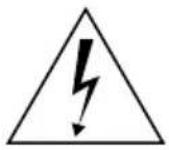FOCAL Alpha Twin Evo - IMPORTANT SAFETY INSTRUCTIONS! - 1
