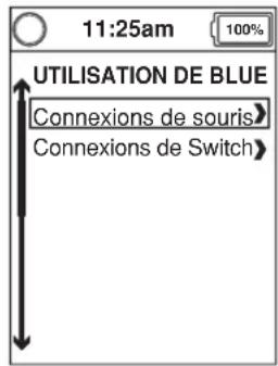 11:25am 100% UTILISATION DE BLUE Connexions de souris Connexions de Switch