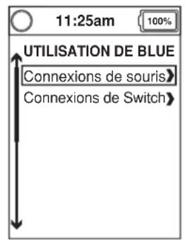 11:25am 100% UTILISATION DE BLUE Connexions de souris> Connexions de Switch>