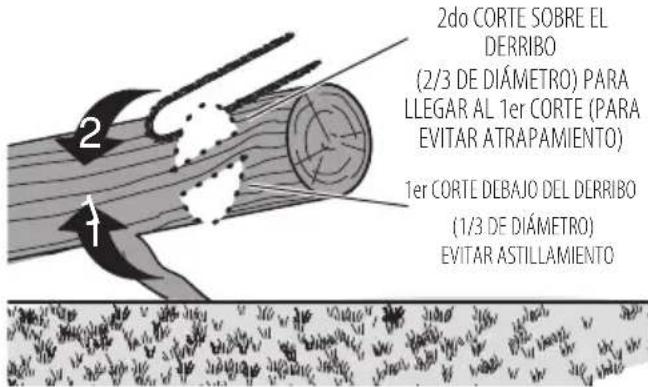 Craftsman CMCCS320 - Corte de ramas - 4