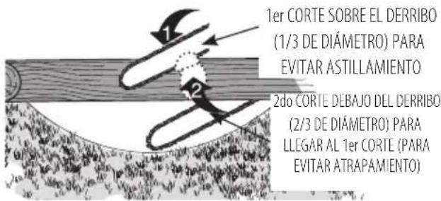 Craftsman CMCCS320 - Corte de ramas - 5