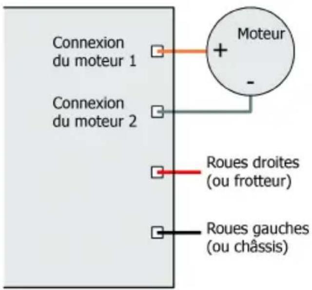 Tams Elektronik LDG33 plus - Connexion du décodeur au moteur - 1