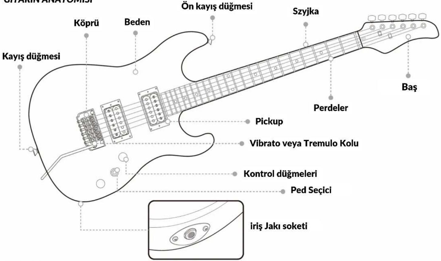 Pyle PEGKT99BK - 1