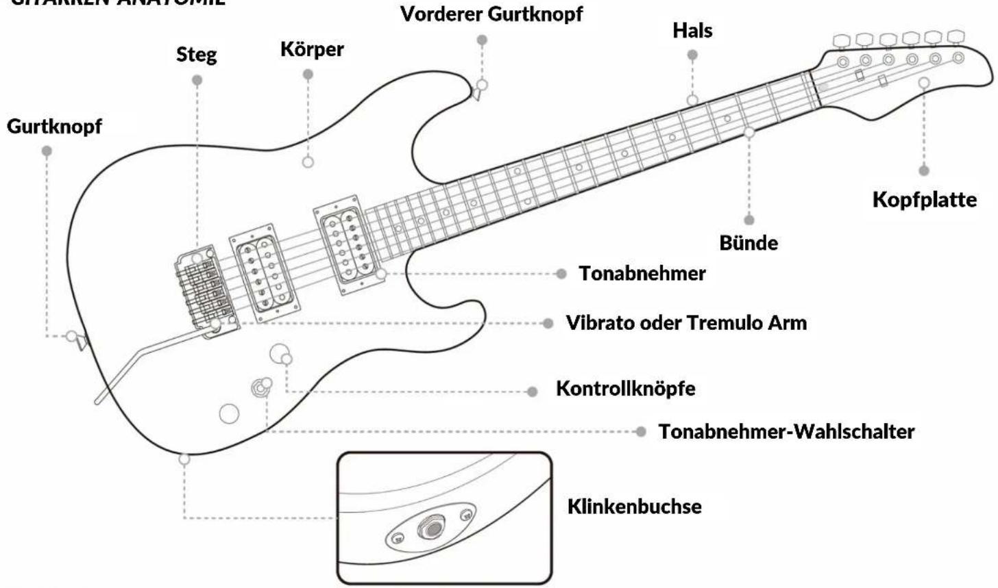 Pyle PEGKT99BK - 1