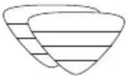 Zeegma Puur - Accesorios - 6