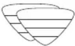 Zeegma Puur - Accessori - 6