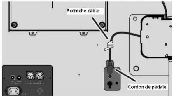 ROLAND GP9M - Prise AC In - 1