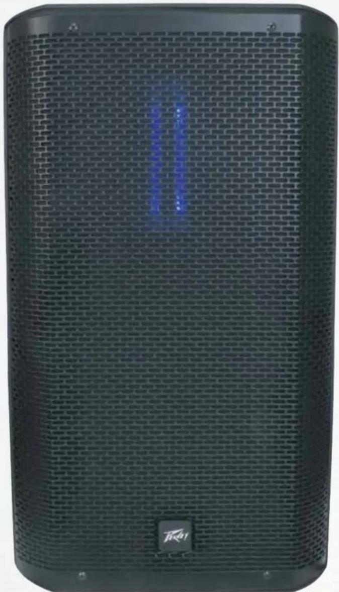 PEAVEY RBN 110 - 1