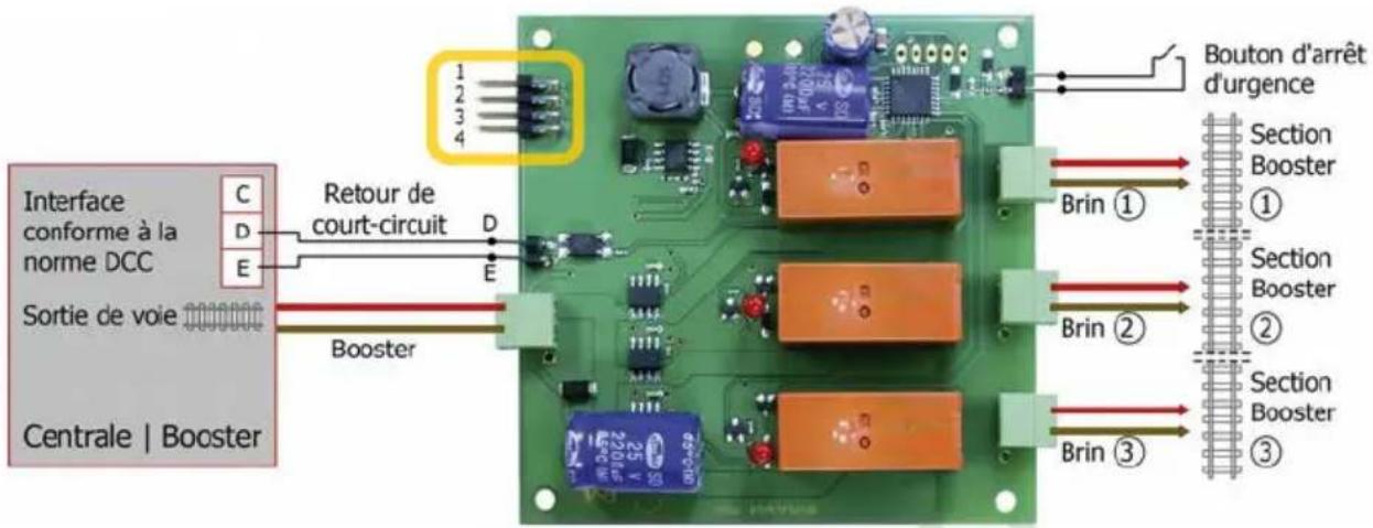 Tams Elektronik PowerSplitter - Cavaliers - 1