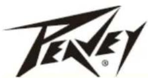 PEAVEY RBN 112 - Caractéristiques - 1