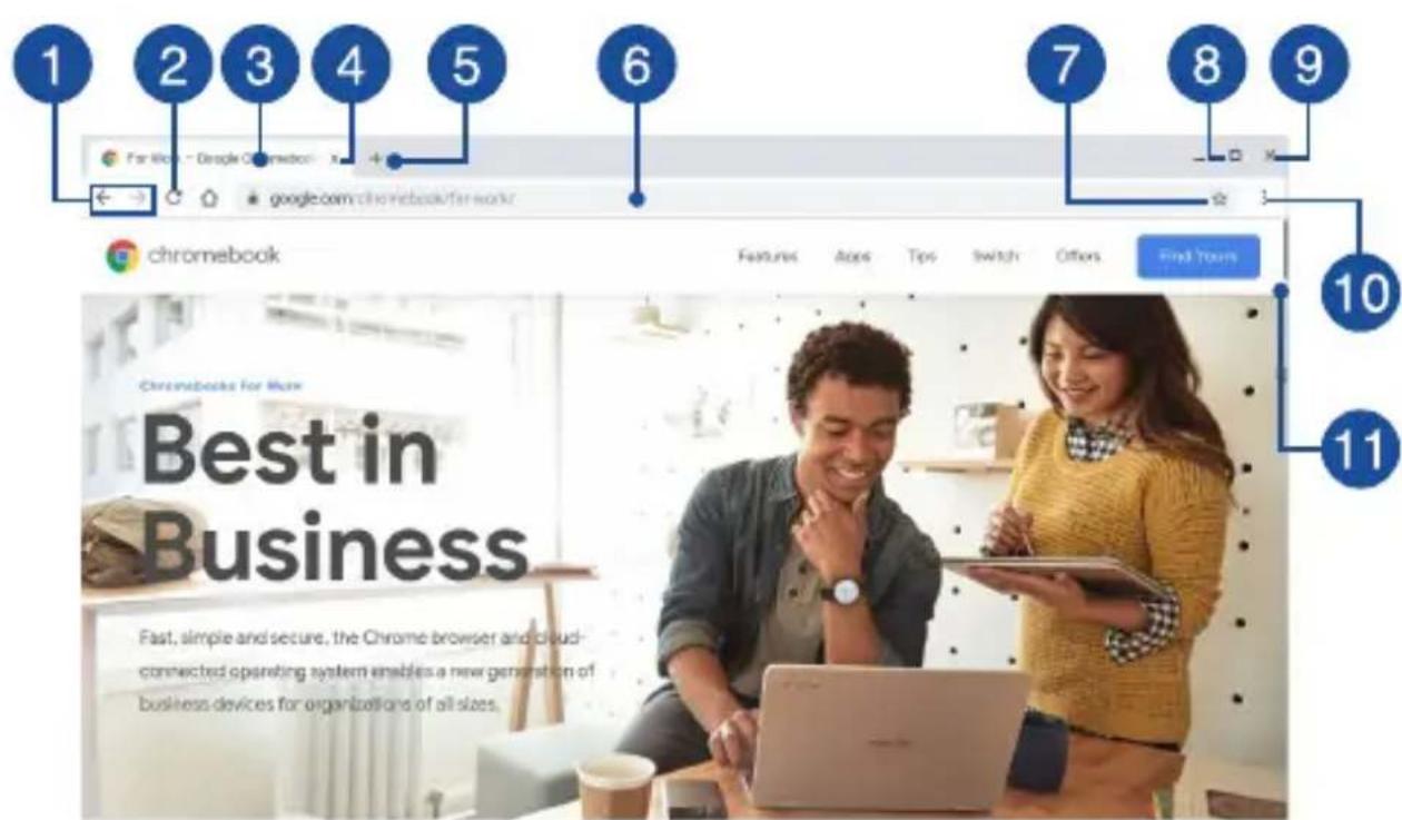 ASUS Chromebook C204MA - Google chrome - 1