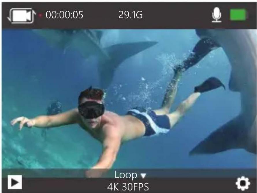 00:00:05 29.1G Loop 4K 30FPS