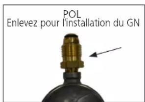 HeatStar Nomad HS190TC - CONFIGURATION POUR LE GAZ NATUREL - 1