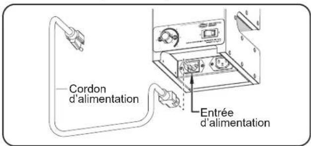 Cordon d'alimentation Entrée d'alimentation