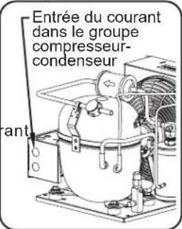Hatco CWBR4 - Raccordement des composants - 3