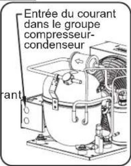 Hatco CWBX4 - Raccordement des composants - 3