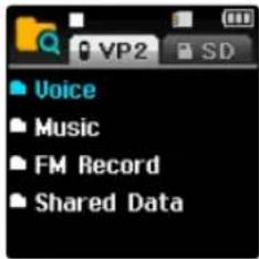 Voice Music FM Record Shared Data