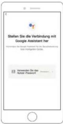Stellen Sie die Verbindung mit Google Assistant her Verwerten Sie das Müller-Passwort