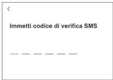Immetti codice di verifica SMS