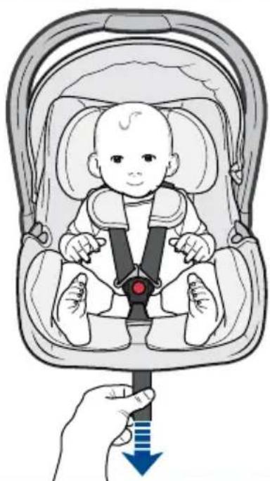 Axkid Modukid Infant - 14