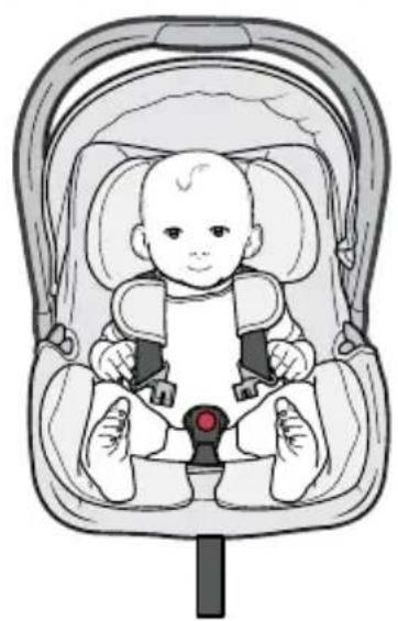 Axkid Modukid Infant - 12