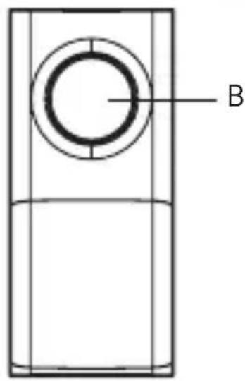 B