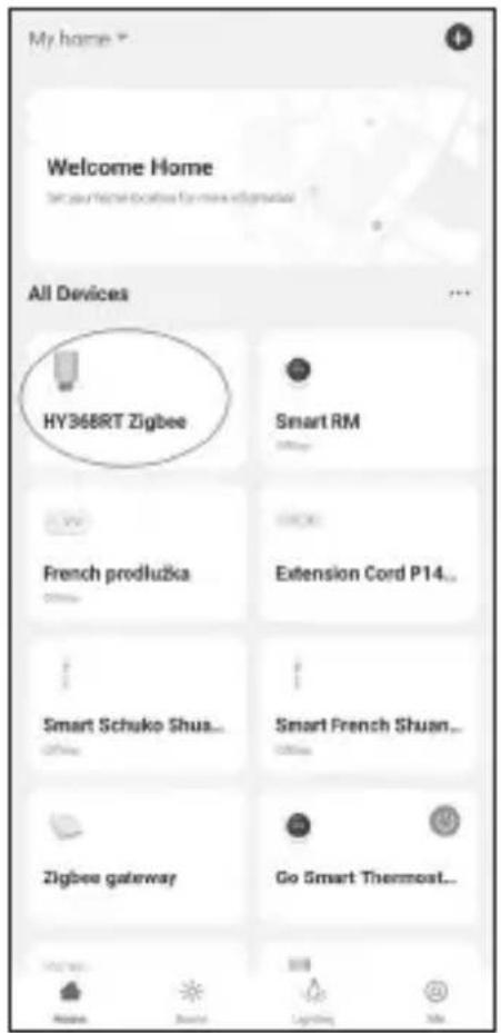 My home Welcome Home All Devices HY368RT Zigbee Smart RM French prodłużka Extension Cord P14... Smart Schuko Shua... Smart French Shuan... Zigbee gateway Go Smart Thermost...