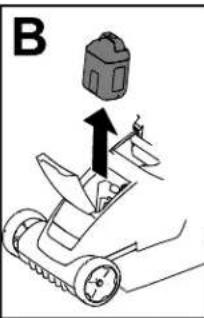 B
