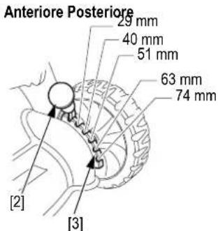 Anteriore Posteriore 29 mm 40 mm 51 mm 63 mm 74 mm [2] [3]