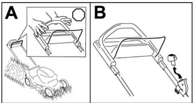 A B