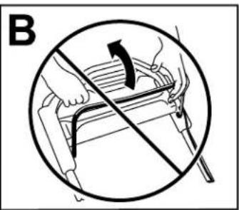 B