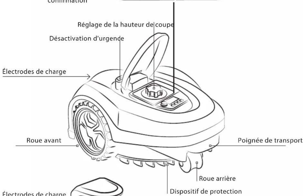Électrodes de charge Roue avant Réglage de la hauteur de coupe Désactivation d'urgence Électrodes de charge Roue arrière Dispositif de protection Poignée de transport