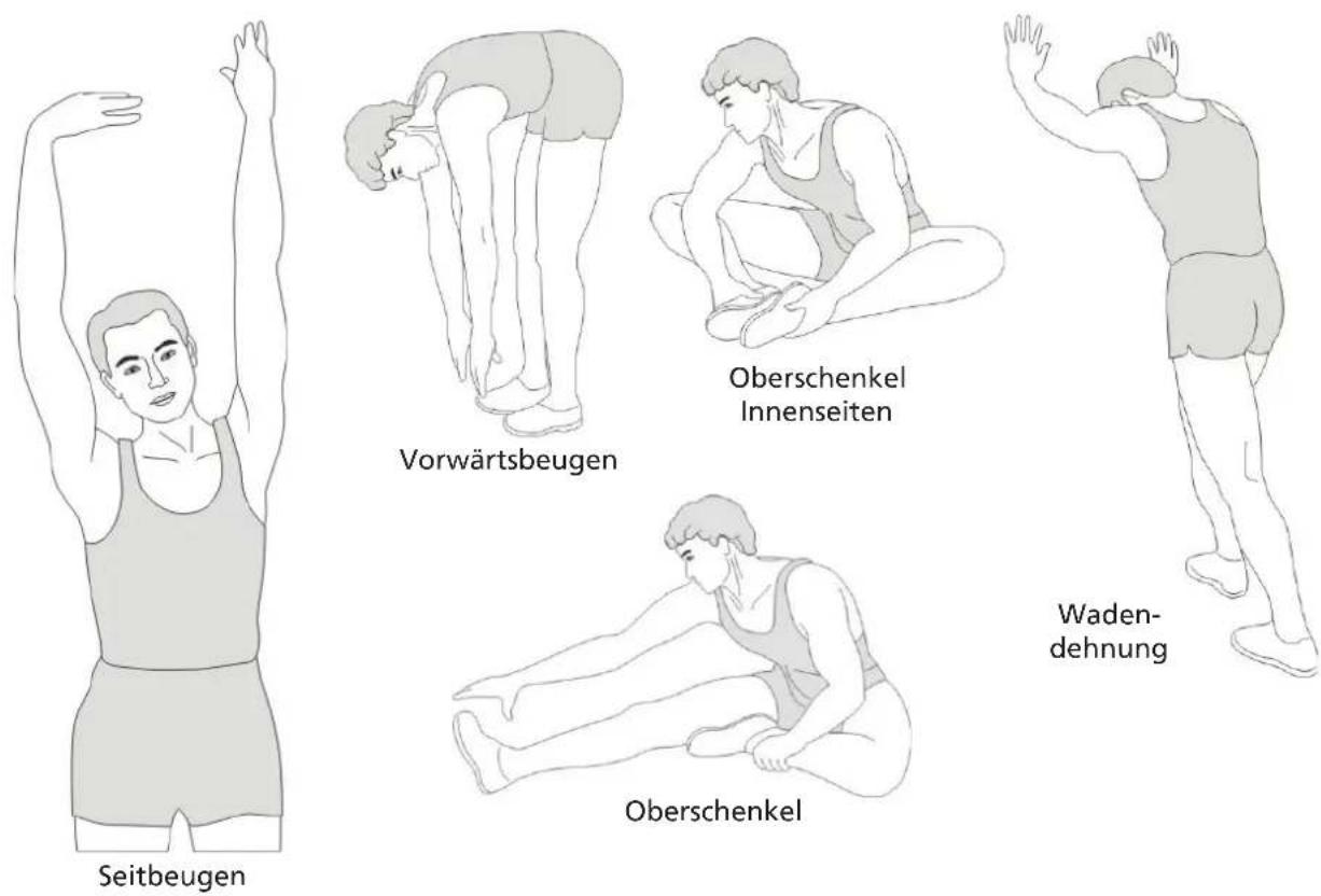 Skandika Njord - STRETCHING - 1