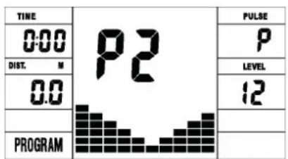 Skandika Nordlys - Programme profiles of the permanently stored programmes P1 to P10: - 2