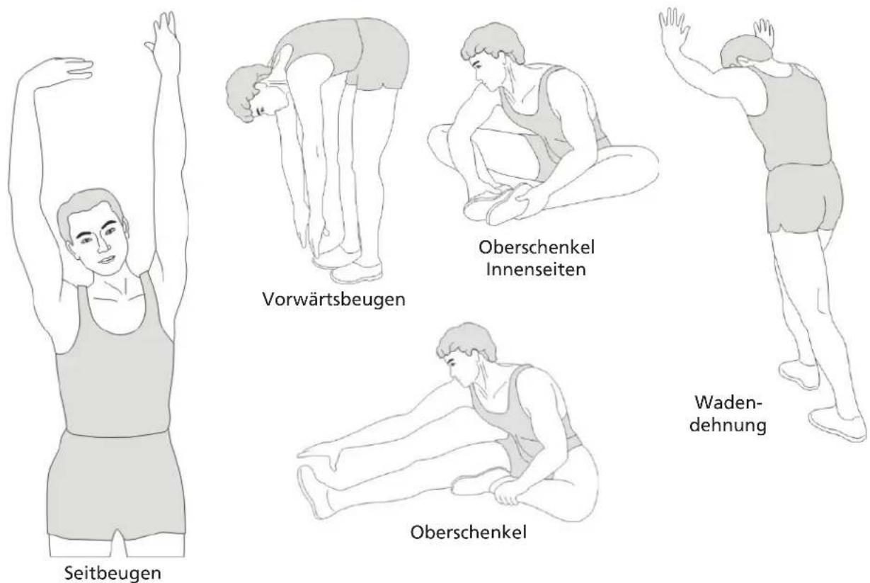 Skandika Nemo Compact - STRETCHING - 1