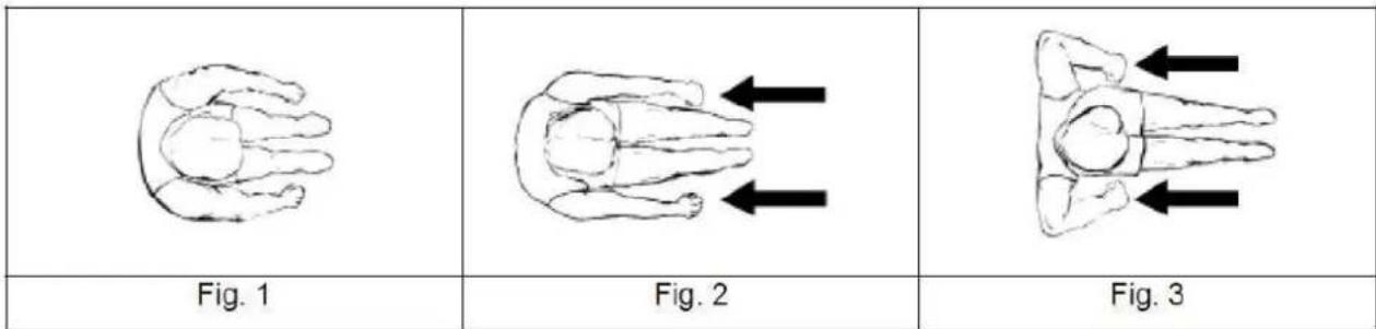 Skandika Nemo V - Rowing essential moves - 1