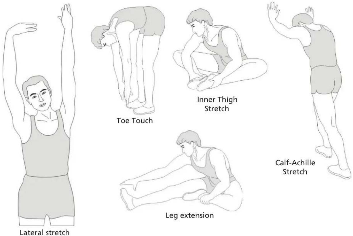 Skandika Nemo V - STRETCHING - 1