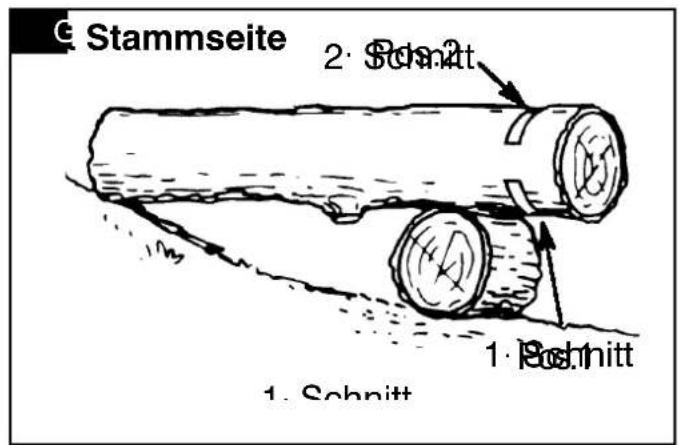 Stammseite 2. Schmitt 1. Schmitt 1. Schmitt