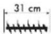 Grizzly ES 1231 - Symbols / Instructions on the implement - 11