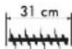 Grizzly ES 1231 - Symbole/napisy na urządzeniu - 11