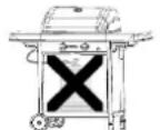 BARBECOOK Spring 3112 - Which gas bottle, hose, and regulator? - 2